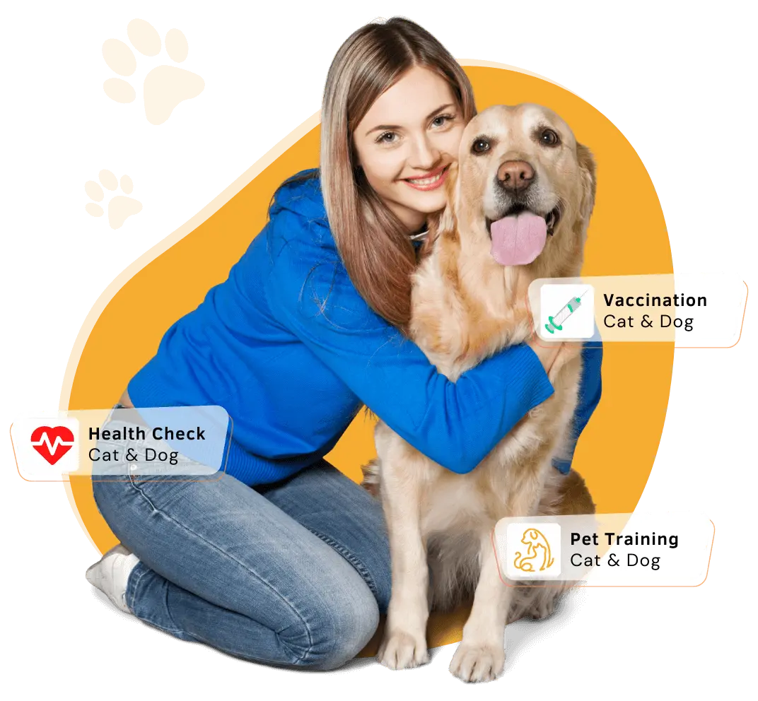 Pet Care 1